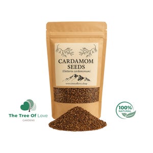 Cardamom Seeds | Elettaria cardamomum | Whole Cardamom Seed | Hulled Seeds | Dried Herbs | Herbal Tea | Herbal Products | Bulk Herb