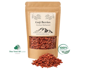 Goji Beere |   Ganze | Lycium barbarum | Getrocknete Kräuter | Kräutertee | Pflanzliche Produkte | Großkraut | Kräutertee