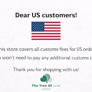 Dear US customers! This store covers all customs fees for US orders. You won't need to pay any additional customs charges. Thank you for shopping with us! The Tree Of Love CARDENS