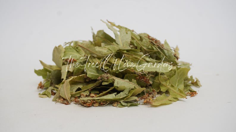Linden Flower Tea | | Dried Linden Leaves And Flowers| Natural | Dried Herbs | Herbal Tea by The Tree Of Love Gardens image 3