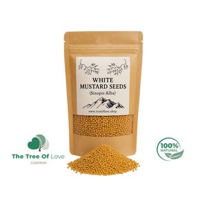 White Mustard Seeds | White Mustard Seeds | Mustard | Sinapis Alba | Spices | Dried Seeds, Flavorful | Cooking | Specialty | Herbal Remedy