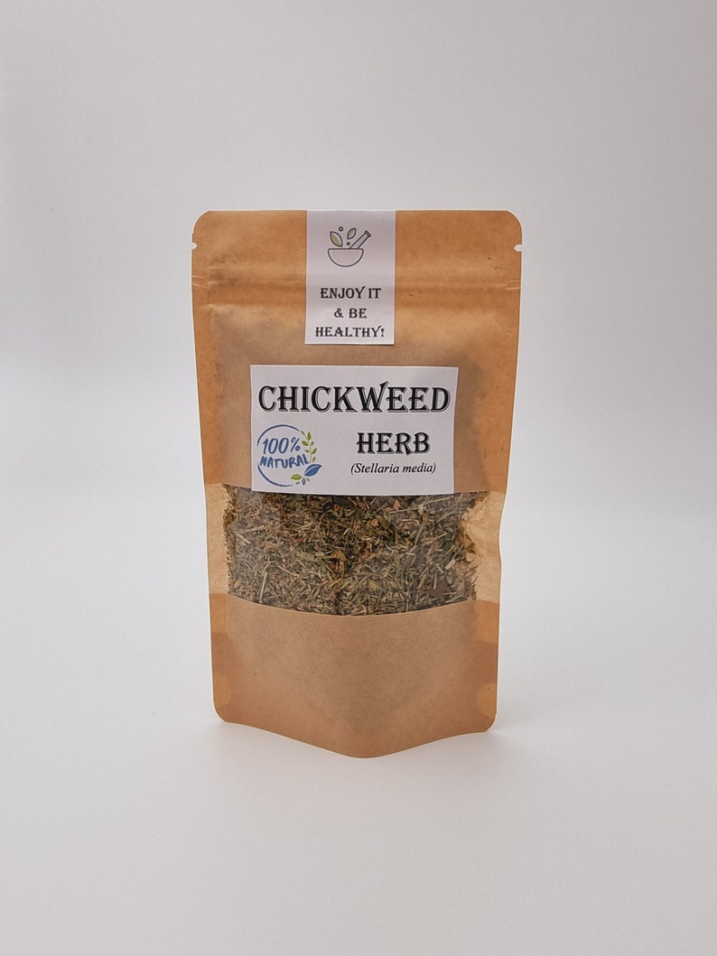 Chickweed Herb Stellaria media image 1
