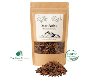 Op de afbeelding: Een bruine kraftpapieren zak met gedroogde steranijs, voorzien van een doorzichtig venster. Het etiket bevat de tekst Star Anise, Illicium verum, een bergafbeelding en het websiteadres www.treeoflove.shop.