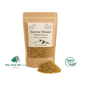 White Yarrow Herb | Yarrow | Yarrow Flower | White Yarrow | Achillea Millefolium | Dried Herbs | Herbal Tea | Herbal Products | Bulk Herb