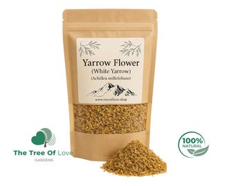 White Yarrow Herb | Yarrow | Yarrow Flower | White Yarrow | Achillea Millefolium | Dried Herbs | Herbal Tea | Herbal Products | Bulk Herb