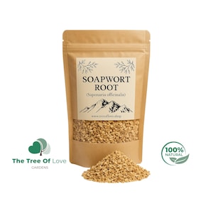 Seifenkrautwurzel | Saponaria officinalis | Getrocknete Kräuter | Kräutertee | Pflanzliche Produkte | Großkraut | Pflanzliches Heilmittel