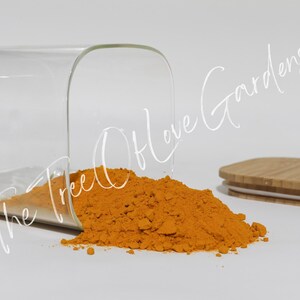 Turmeric Root | Whole | Curcuma Longa | Dried Herbs | Herbal Tea | Herbal Products | Bulk Herb | Herbal Infusion image 9