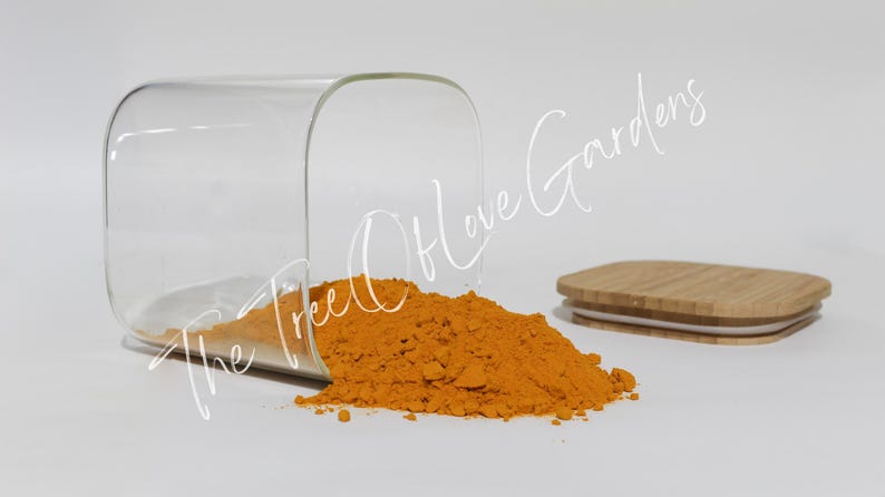 Turmeric Root | Whole | Curcuma Longa | Dried Herbs | Herbal Tea | Herbal Products | Bulk Herb | Herbal Infusion image 9