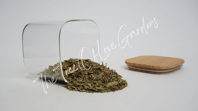 Lemon Verbena Leaf | Aloysia citriodora | Dried Herbs | Herbal Tea | Herbal Products | Bulk Herb | Herbal Infusion image 2