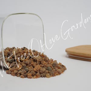Myrrh Resin | Grade A ++ | Commiphora Myrrha | Dried Herbs | Herbal Infusion | Bulk Herb | Herbal Tea by The Tree Of Love Gardens image 6