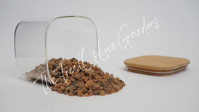 Myrrh Resin | Grade A ++ | Commiphora Myrrha | Dried Herbs | Herbal Infusion | Bulk Herb | Herbal Tea by The Tree Of Love Gardens image 6