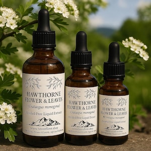 Meidoorn Glyceriet | Meidoornbloem en -bladeren alcoholvrij extract | Tinctuur | Vloeibaar extract van meidoornbloem en -bladeren