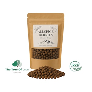 Allspice | Allspice Berries | Myrtle pepper | Pimenta dioica | Dried Herbs | Herbal Tea | Herbal Products | Bulk Herb | Herbal Remedy