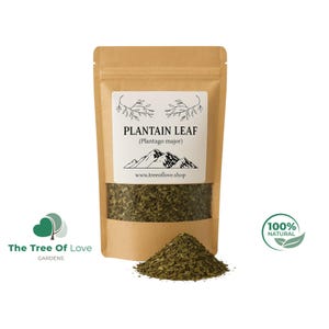Plantain Leaf | Plantago Major | Plantain Tea | | Dried Herbs | Herbal Tea | Herbal Products | Bulk Herb | Herbal Remedy