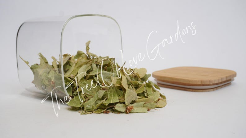 Linden Flower Tea | | Dried Linden Leaves And Flowers| Natural | Dried Herbs | Herbal Tea by The Tree Of Love Gardens image 2