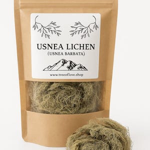 Usnea Lichen | Usnea barbata | Whole | Wild Crafted Old Man's Beard | Infusion | Herbal Tea by The Tree Of Love Gardens image 2
