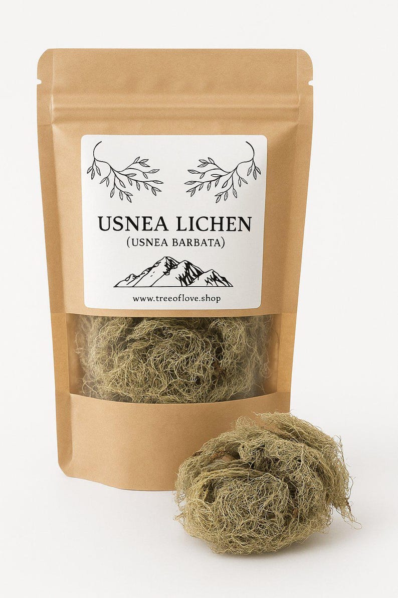 Usnea Lichen | Usnea barbata | Whole | Wild Crafted Old Man's Beard | Infusion | Herbal Tea by The Tree Of Love Gardens image 2