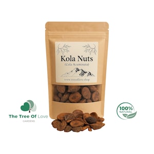 Kola Nuts | Cuts | Dried | Cola Nut Seeds - Cola Acuminata | Dried Herbs | Herbal Tea | Herbal Products | Bulk Herb | Herbal Remedy