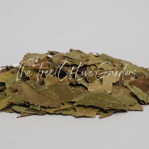 Neem Leaf | Cuts or Powder | Azadirachtae Idica | Dried Herbs | Tea | Herbal Infusion by The Tree Of Love Gardens image 3