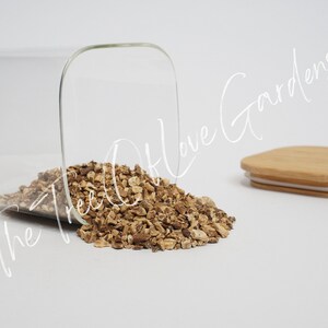 Dandelion Root | Tea | Taraxacum officinale | Natura | Herbal Infusion by The Tree Of Love Gardens image 5