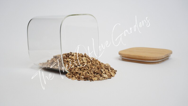 Dandelion Root | Tea | Taraxacum officinale | Natura | Herbal Infusion by The Tree Of Love Gardens image 5