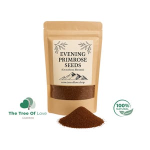 Evening Primrose Seeds | Evening Primrose Tea | Oenothera Biennis | Dried Herbs | Herbal Tea | Herbal Products | Bulk Herb | Herbal Remedy