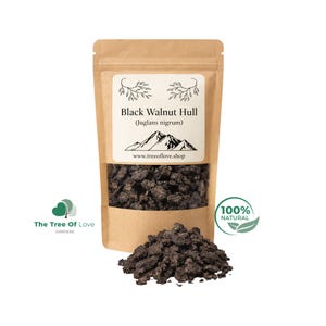 Coque en noyer noir | Juglans noir | Découpes ou poudre | Herbes séchées | Tisane | Infusion aux herbes par The Tree Of Love Gardens