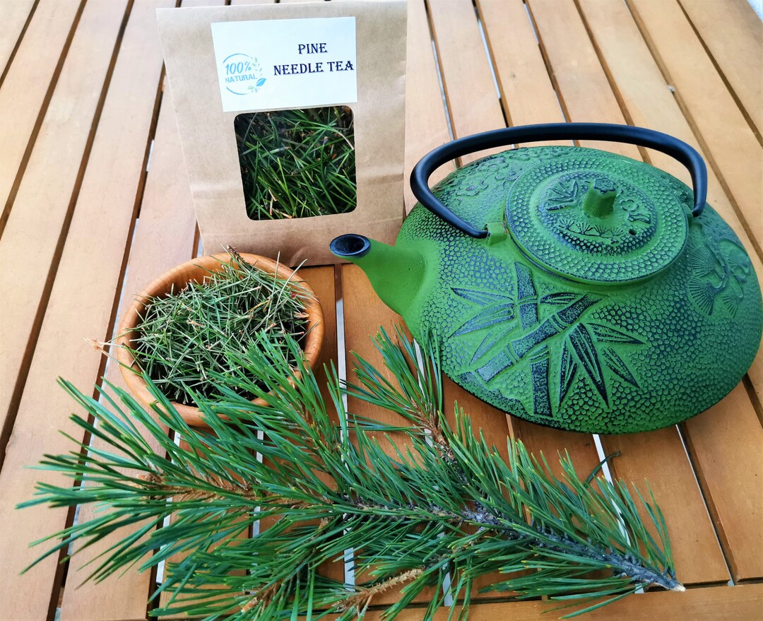 Organic Fresh or Dried Pine Needle Tea Pine Needle Tea Fresh Pine