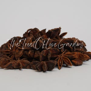 Sternanis | Anis Sterne | Illicium verum | Pflanzliche Produkte | Botanische | Getrocknete Kräuter | Kräutertee | Pflanzliche Produkte | Großer Kraut Bild 5
