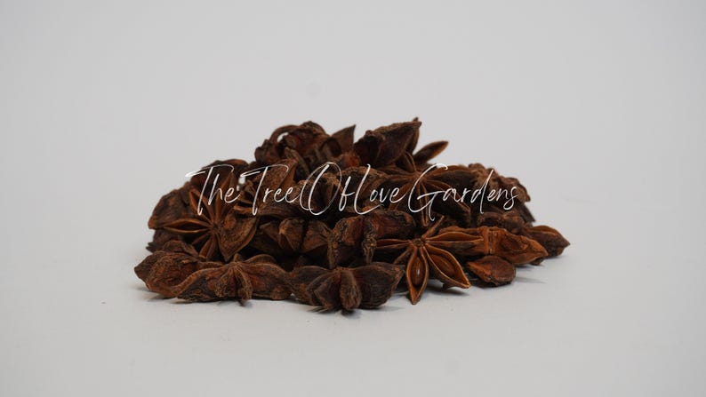 Sternanis | Anis Sterne | Illicium verum | Pflanzliche Produkte | Botanische | Getrocknete Kräuter | Kräutertee | Pflanzliche Produkte | Großer Kraut Bild 5