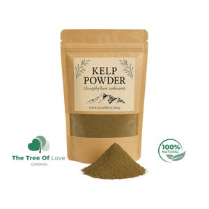 Kelp Powder |  Ascophyllum nodosum | Dried Herbs | Herbal Tea | Herbal Products | Bulk Herb | Herbal Remedy