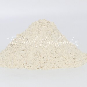 Garlic Powder | Dried Herbs | Herbal Tea | Herbal Products | Bulk Herb | Herbal Infusion image 3