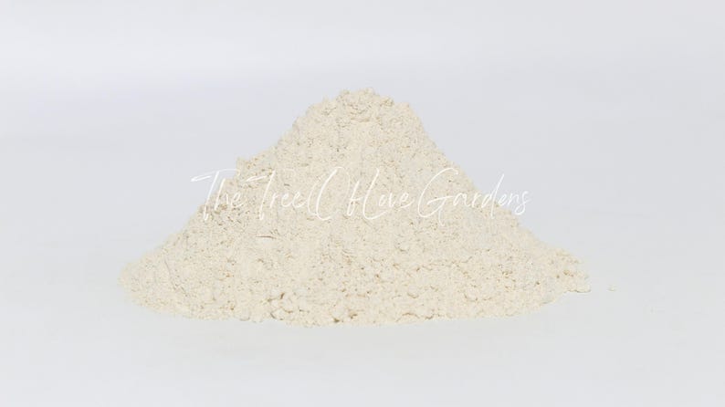 Garlic Powder | Dried Herbs | Herbal Tea | Herbal Products | Bulk Herb | Herbal Infusion image 3