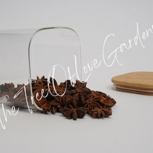 Sternanis | Anis Sterne | Illicium verum | Pflanzliche Produkte | Botanische | Getrocknete Kräuter | Kräutertee | Pflanzliche Produkte | Großer Kraut Bild 3