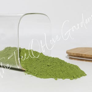 Moringa Leaf Powder or Cuts | Dried Herbs | Bulk Herb | Herbal Tea by The Tree Of Love Gardens image 10