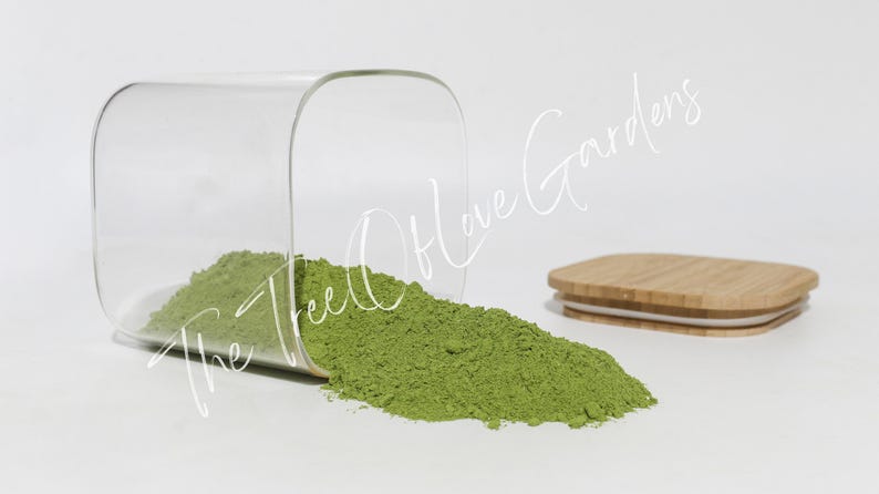 Moringa Leaf Powder or Cuts | Dried Herbs | Bulk Herb | Herbal Tea by The Tree Of Love Gardens image 10