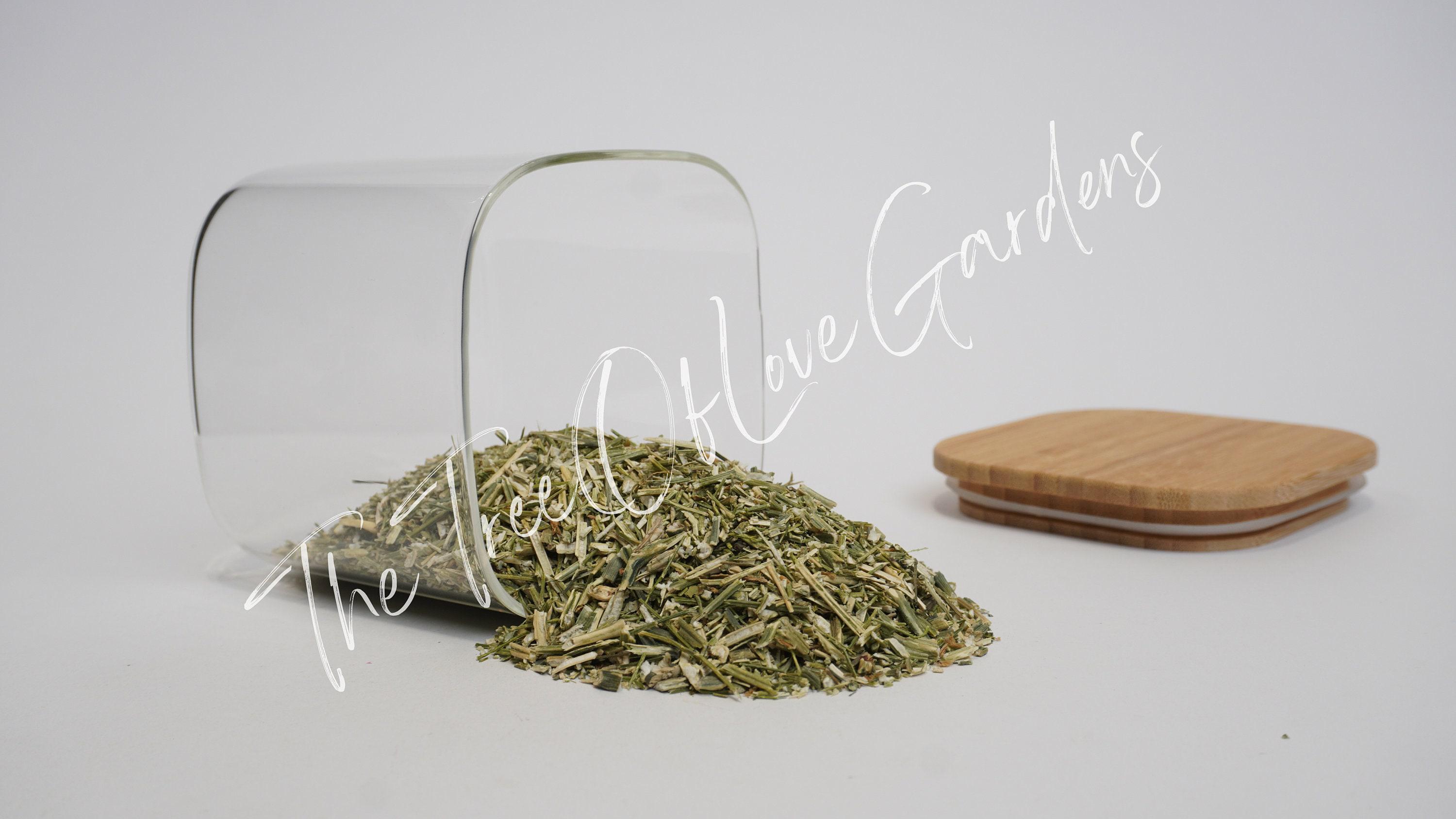 Andrographis Herb | Andrographis Paniculata | Dried Herbs | Herbal Tea ...