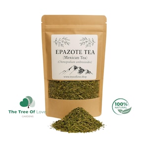 Epazote Herb | Chenopodium ambrosioides | Mexican Tea | Semi Contra | Jesuit Tea | Erva Formigueira | Erva de Santa Maria | Herbal Remedy