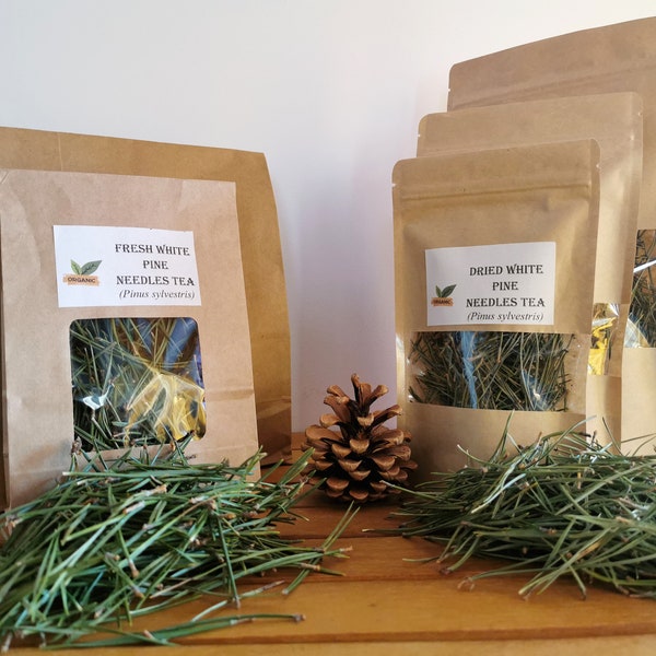 Premium Best Quality Pine Needle Tea | Pine Needles For Tea | Organic Pine Needles For Surmain | Fresh White Pine Needles