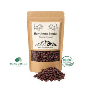 Könnte beinhalten: Ein brauner Standbodenbeutel aus Kraftpapier mit getrockneten, dunkelroten Weißdornbeeren. Das Etikett zeigt den Text Hawthorne Berries, Fructus Crataegi, eine Bergillustration und die Website www.treeoflove.shop mit einem Sichtfenster.