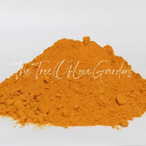 Turmeric Root | Whole | Curcuma Longa | Dried Herbs | Herbal Tea | Herbal Products | Bulk Herb | Herbal Infusion image 5