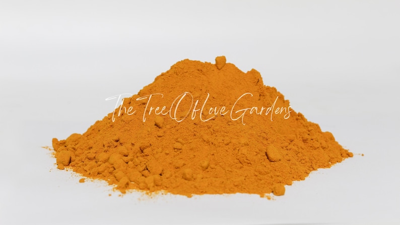 Turmeric Root | Whole | Curcuma Longa | Dried Herbs | Herbal Tea | Herbal Products | Bulk Herb | Herbal Infusion image 5