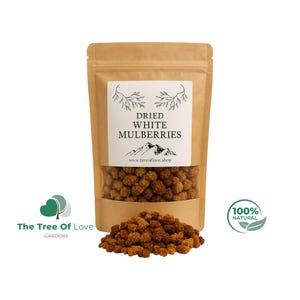 Dried  Mulberries – Pure Raw White Mulberry, Dried White Mulberries , Morus alba / White Mulberries/ | Herbal Remedy