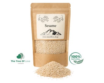 Sesamsamen | Sesamsamen | Meersamen | ganz (Sesamum indicum) | Küchenkraut Weißer Sesam | Sesam Würze | | Kräutertee