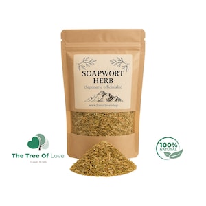 Seifenkraut Kraut | Saponaria Officinalis | Getrocknete Kräuter | Kräutertee | Pflanzliche Produkte | Großkraut | Pflanzliche Heilmittel
