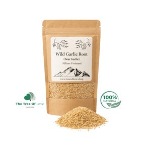 Bärlauchwurzel | Bärlauchwurzel | Allium Ursinum | Getrocknete Kräuter | Kräutertee | Pflanzliche Produkte | Großkraut | Kräutertee