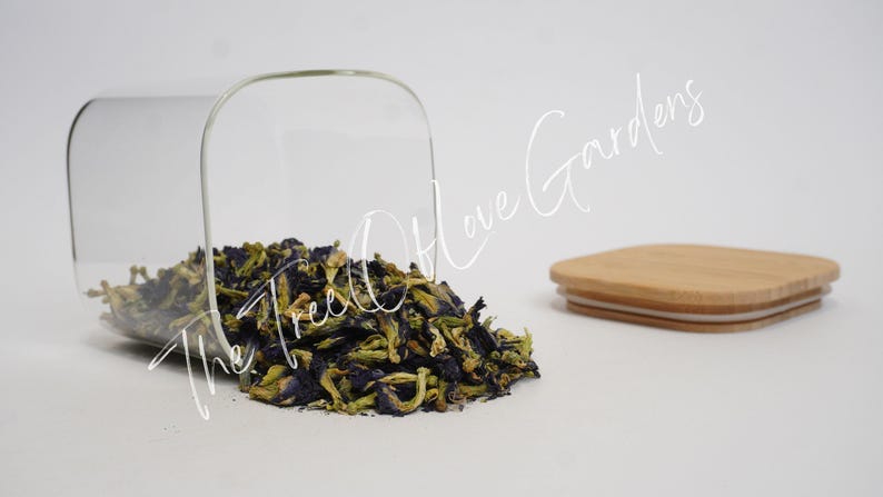 Butterfly Pea Flower or Powder | Tea | Clitoria Ternatea | Dried Herbs | Herbal Infusion by The Tree Of Love Gardens Whole Flowers
