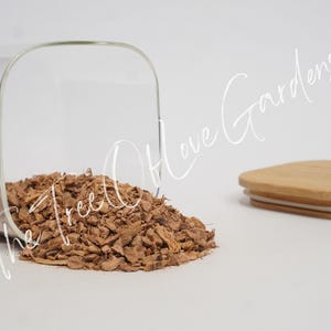 Galangal Root | Alpinia officinarum | | Dried Herbs | Herbal Tea | Herbal Products | Bulk Herb | Herbal Infusion image 3