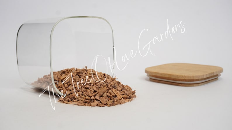 Galangal Root | Alpinia officinarum | | Dried Herbs | Herbal Tea | Herbal Products | Bulk Herb | Herbal Infusion image 3