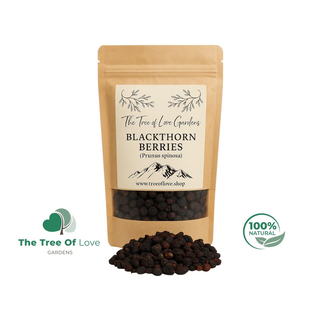 BLACKTHORN Berries / Blackthorn Sloe Whole Dried Berries - Prunus ...